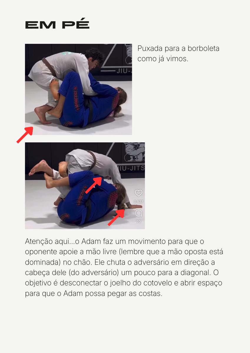 Página do material sobre conexão para as costas