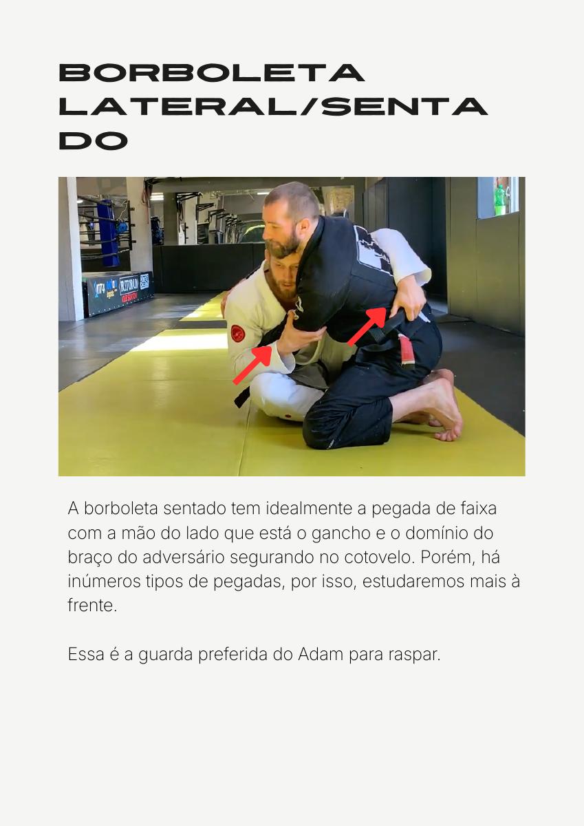 Página do material sobre borboleta sentada