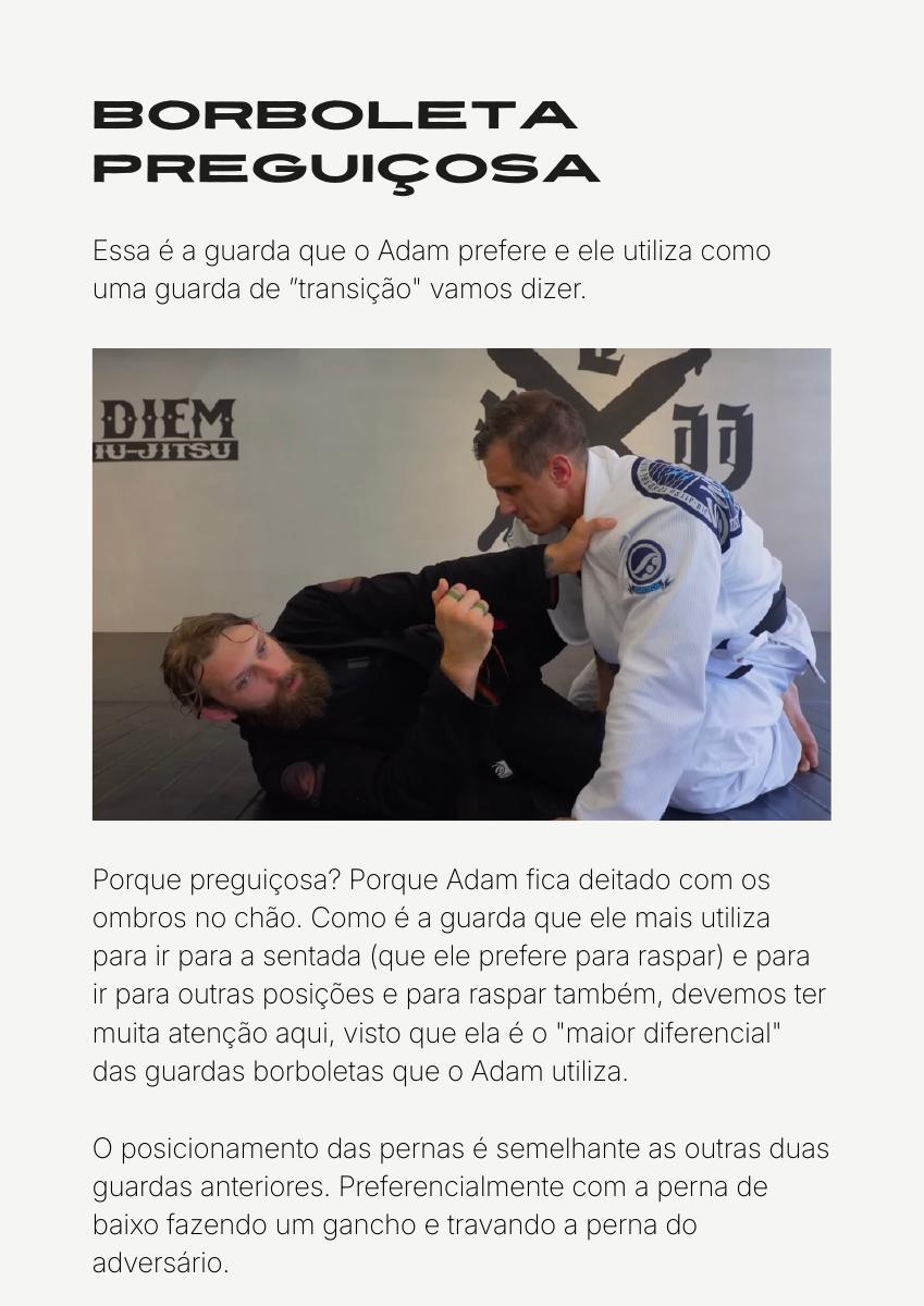 Página do material sobre borboleta preguiçosa